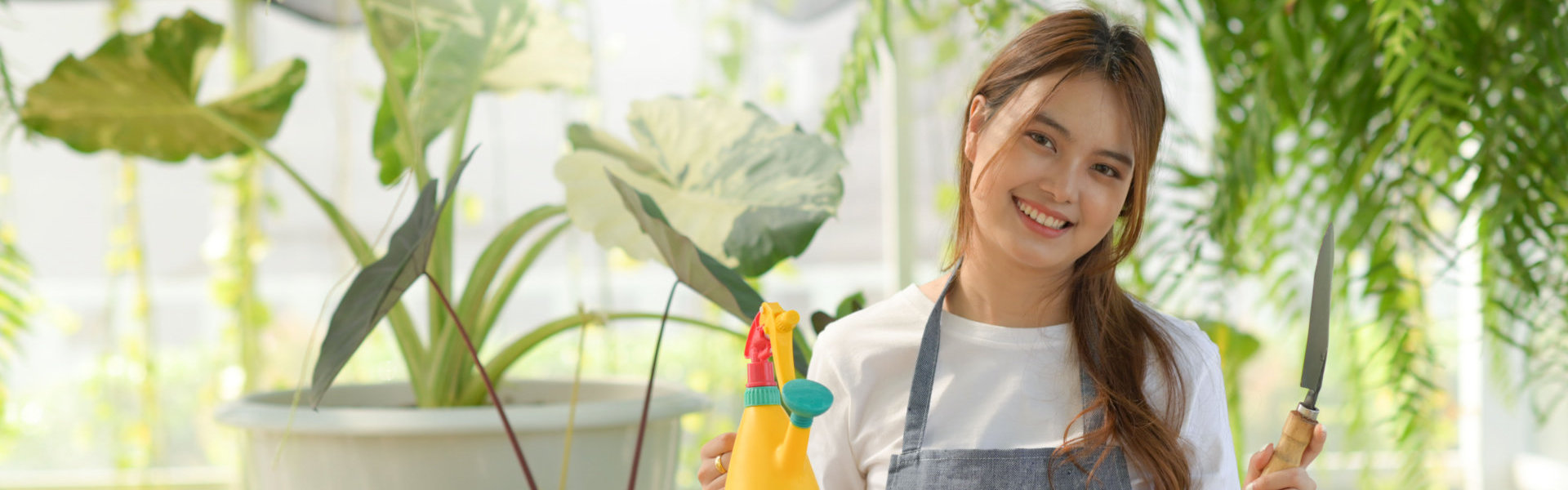 Young woman caring for trees in a greenhouse, planting trees, plant care equipment.